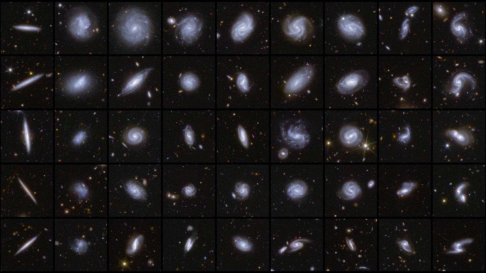 Galaxies de différentes formes capturées par Euclid