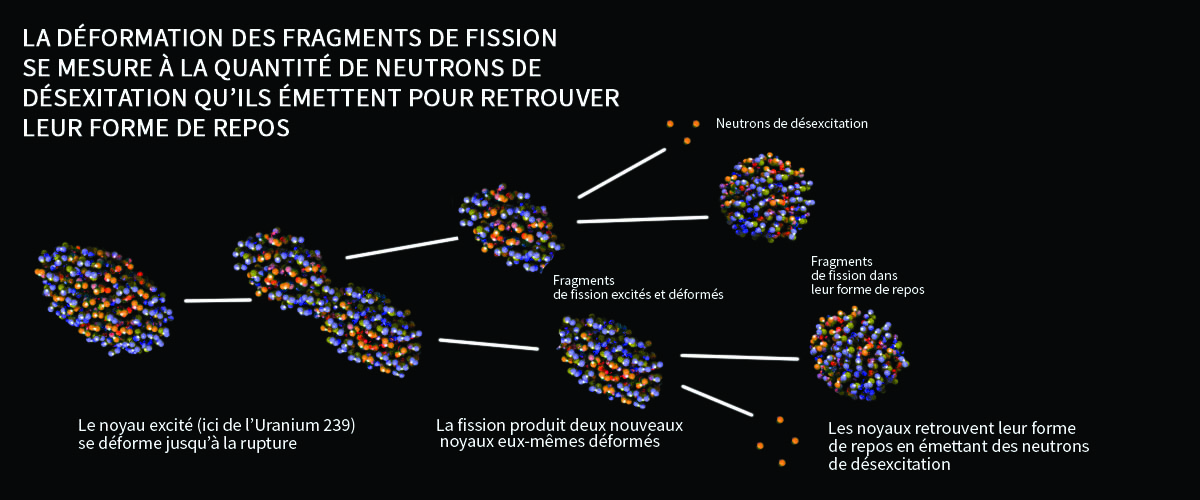 Fission de l'Uranium 239