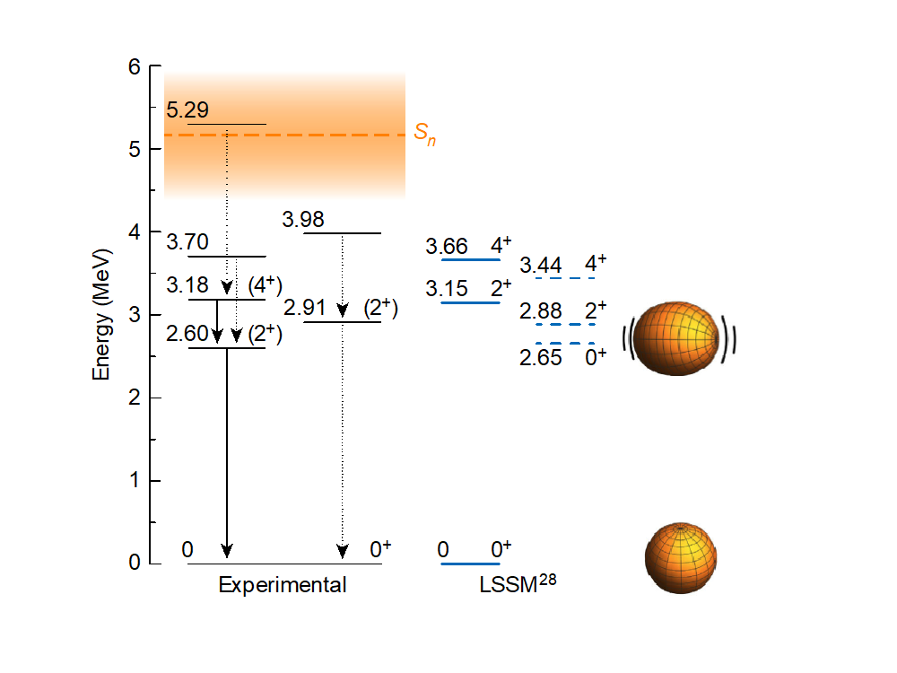 Niveaux d’excitation obtenus dans l’article Nature [1] et  schématisation de la coexistence de forme du 78Ni.