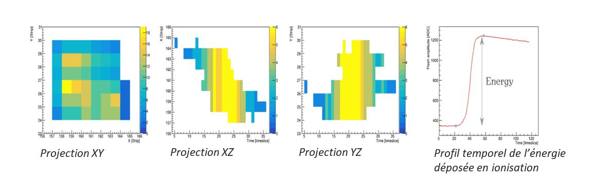 Profils X, Y et Z de l'arrivée des électrons