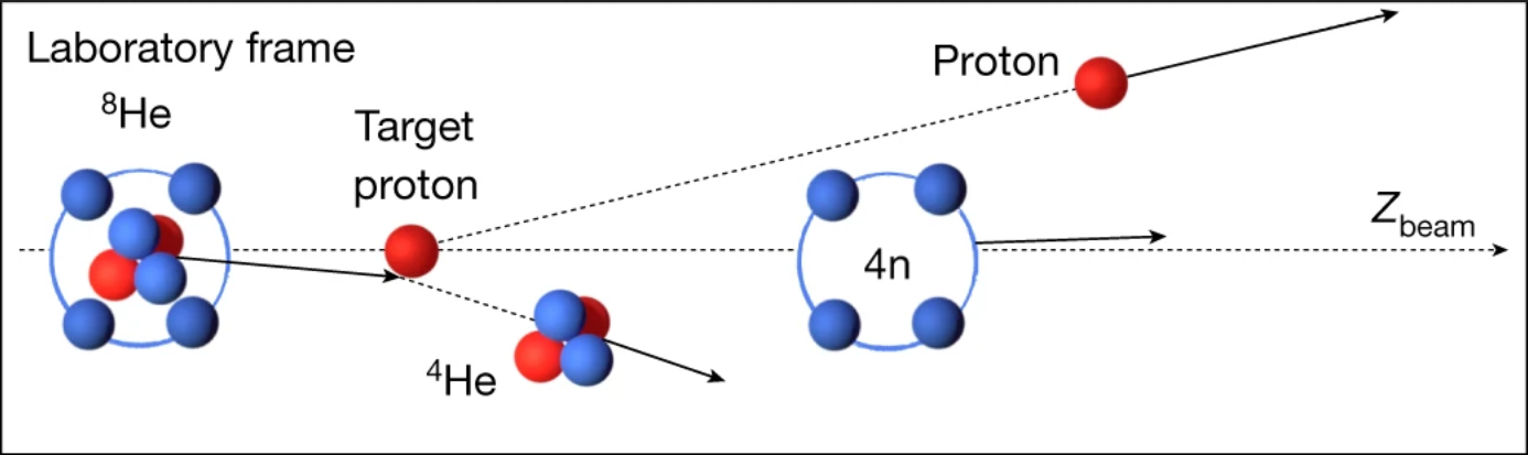 Image : DUER ET AL / NATURE 2022