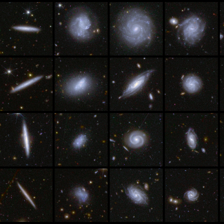 Galaxies de différentes formes capturées par Euclid 
