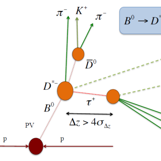 Embranchements testés à LHCb