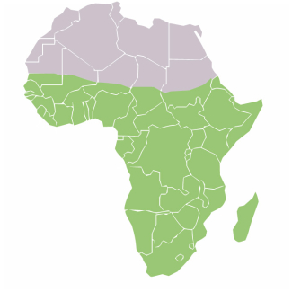 Afrique subsaharienne