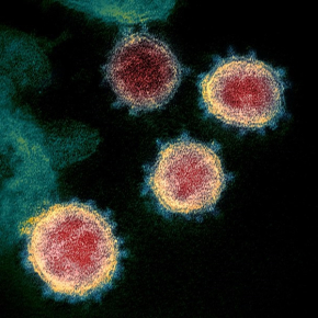 Quatre coronavirus sont sur l'image, un en bas à gauche les autres plutôt en haut à droite. Leur centre est rouge et le tour est doré.