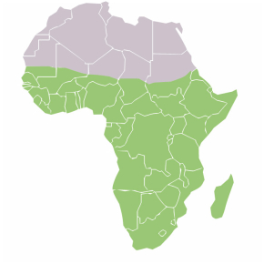 Afrique subsaharienne